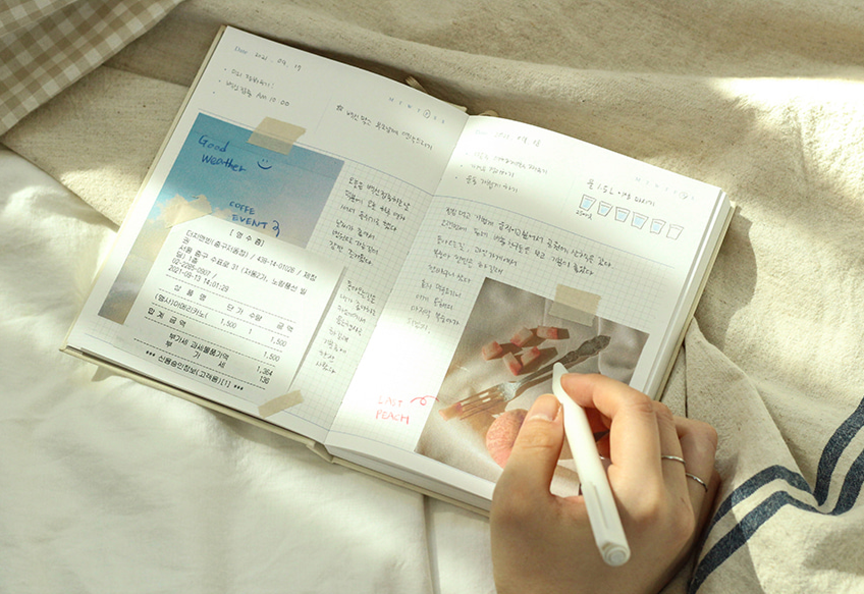 Day;Flow Daily Diary Dash and Dot 9 Planner, Journal, Diary Hunter & The Scholar