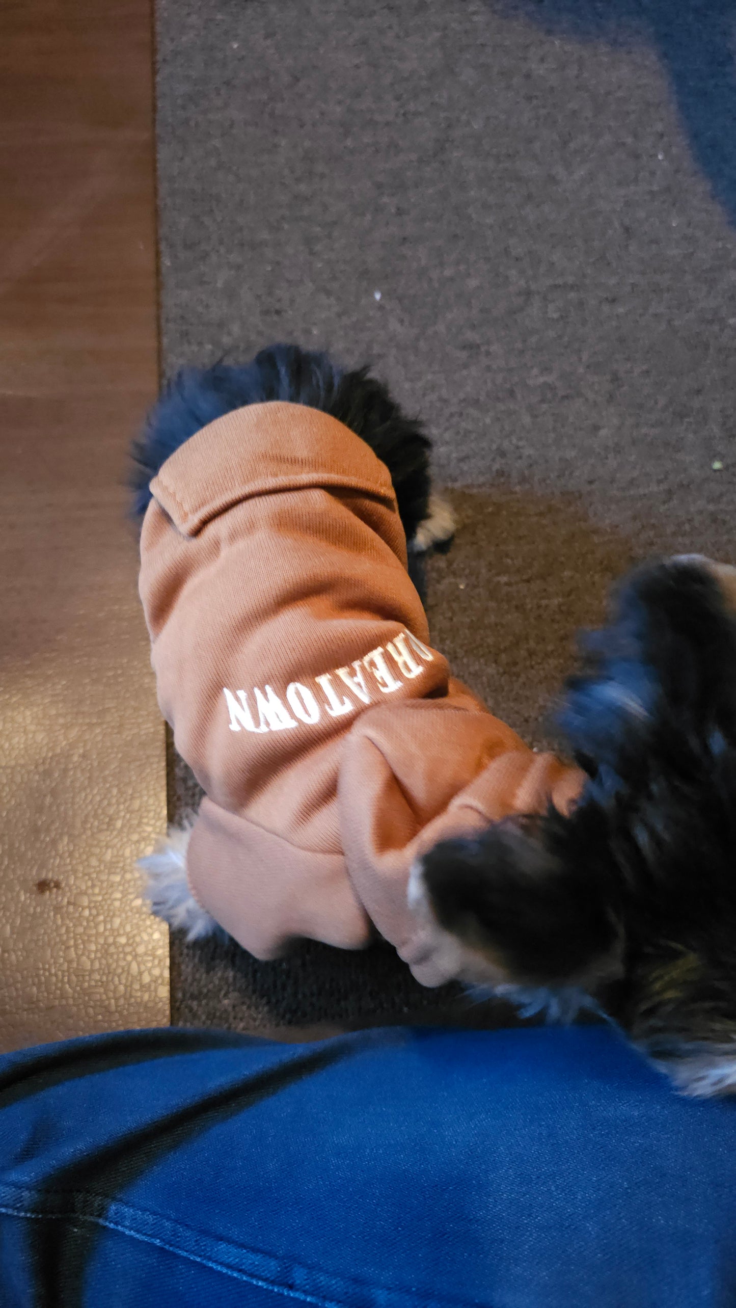 Koreatown Pet Hoodie