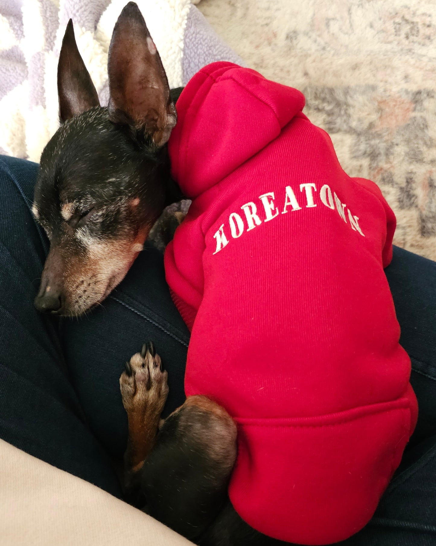 Koreatown Pet Hoodie